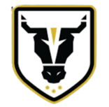 Bulls Academy